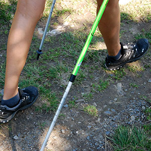 Nordic walking