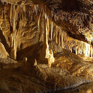 Jaskinia Niedźwiedzia