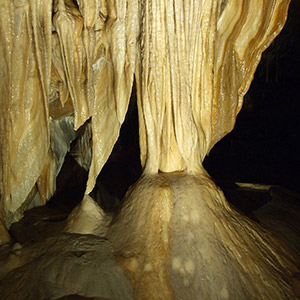 Jaskinia Niedźwiedzia