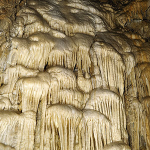 Jaskinia Niedźwiedzia