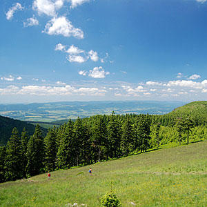 Schronisko „Na Śnieżniku”